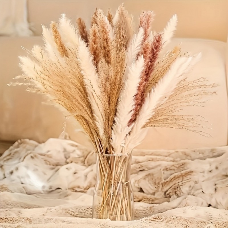 Dried Pampas Bundle - 110개 보헤미안 스타일 중성 톤 혼합