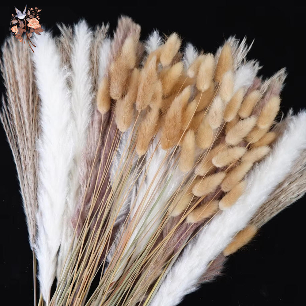Dried Pampas Bundle - 혼합 자연 건조 꽃다발 팜파스 토끼꼬리풀