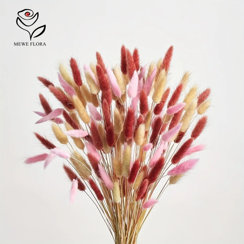 Dried Pampas Bundle - 90pcs 혼합 3 색 토끼 꼬리
