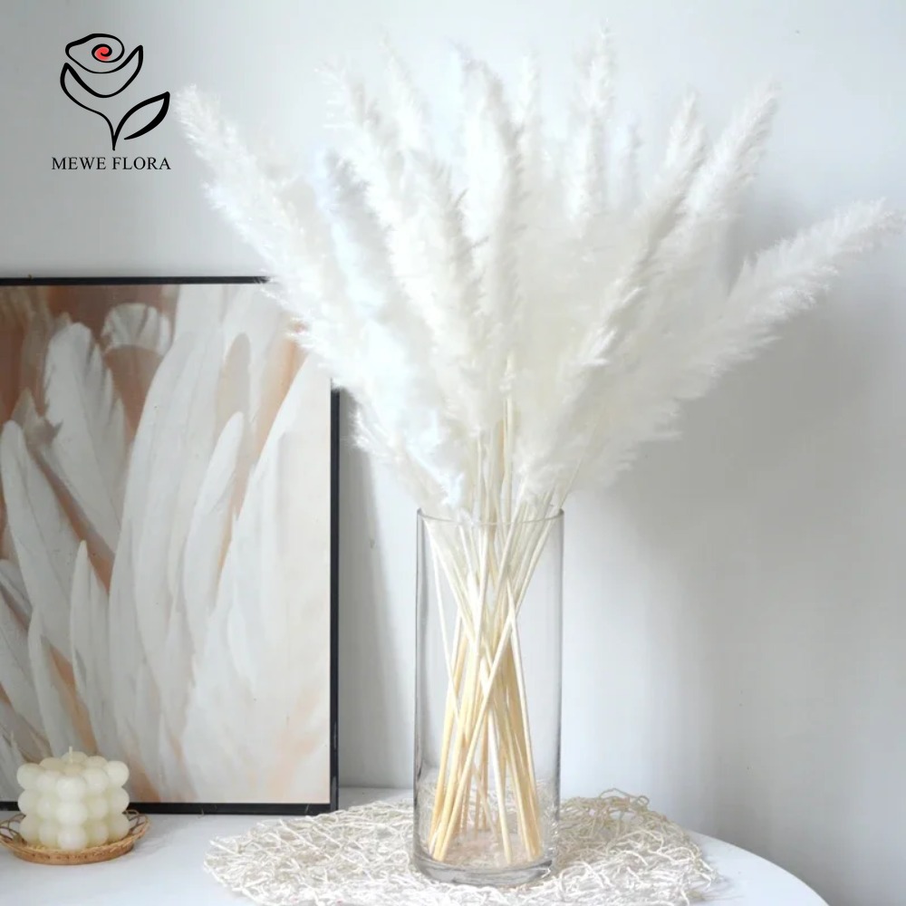 Dried Pampas Bundle - 20개 풍성한 팜파스그래스 말린 꽃다발 자연