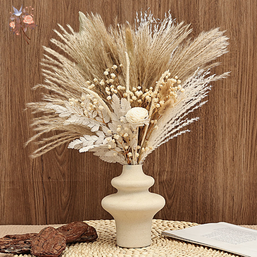 40 조각 말린 팜파스 리드 야자 잎 번들 Boho C - Dried Pampas Bundle 리뷰 및 가격