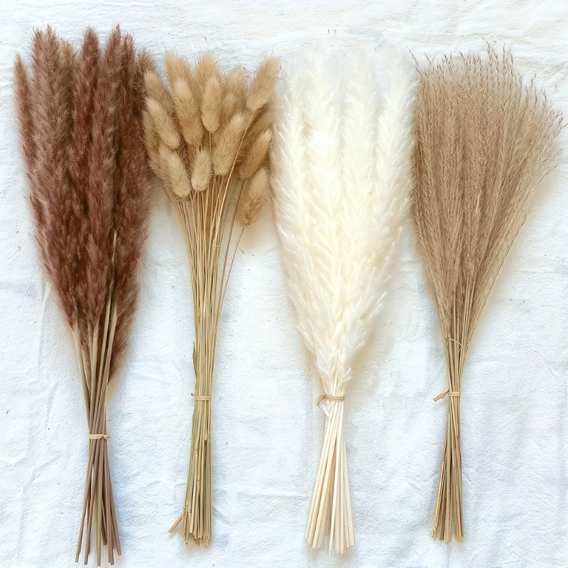 110개 보헤미안 스타일 중성 톤 혼합 드라이 플라워  - Dried Pampas Bundle 리뷰 및 가격