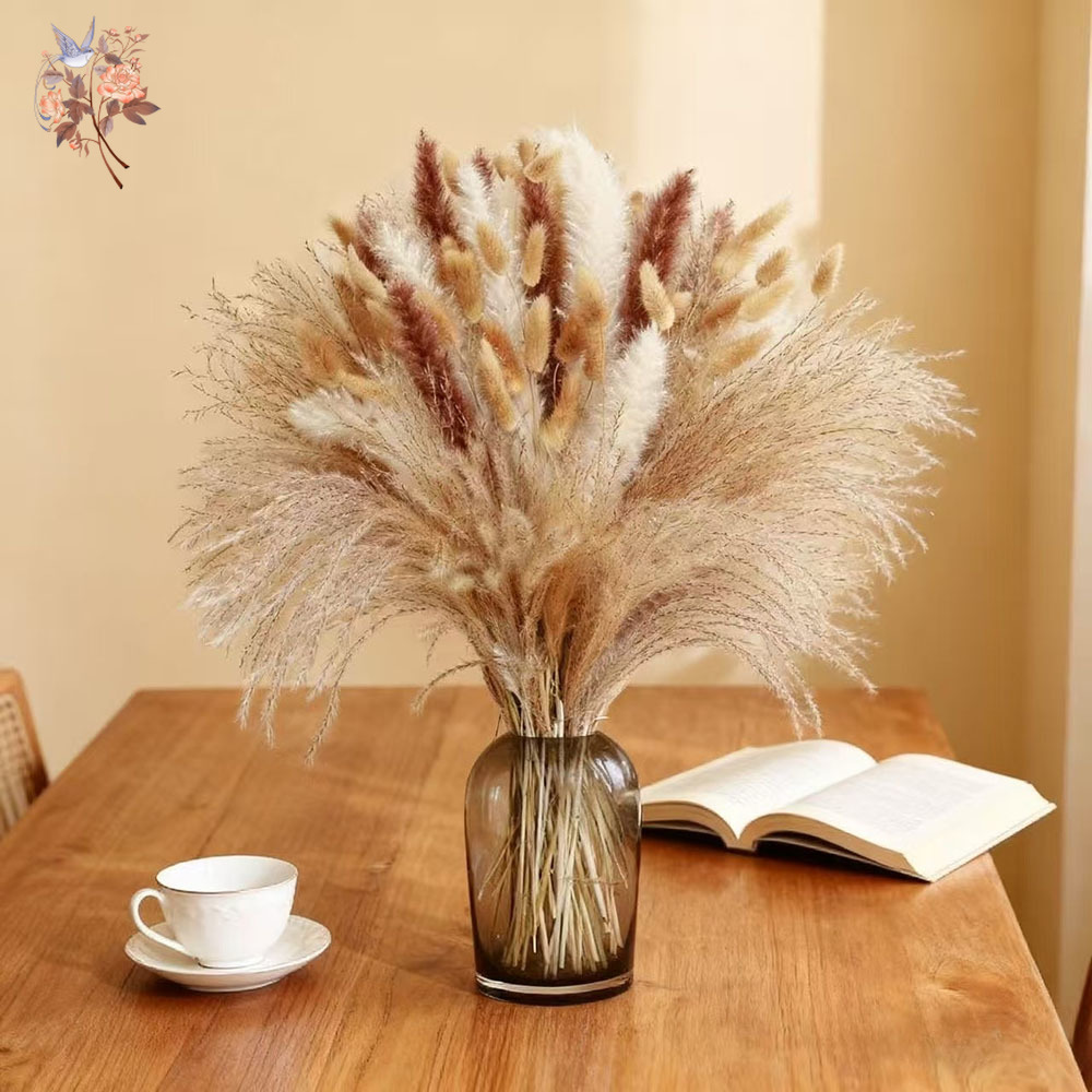 혼합 자연 건조 꽃다발 팜파스 토끼꼬리풀 보헤미안 스타 - Dried Pampas Bundle 리뷰 및 가격