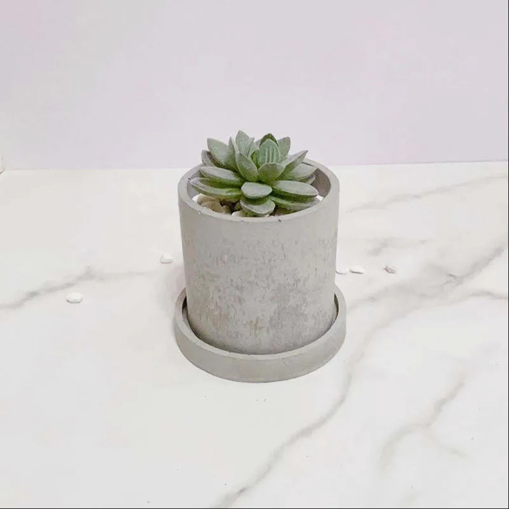 시멘트 화분용 실리콘 몰드, DIY 테라조 화분, 식물 - Terrazzo Pot Cement 리뷰 및 가격