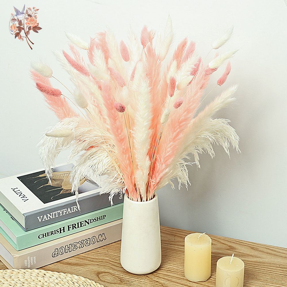 62 조각 흰색 갈대 핑크 토끼 꼬리 잔디 꽃다발 북유 - Dried Pampas Bundle 리뷰 및 가격