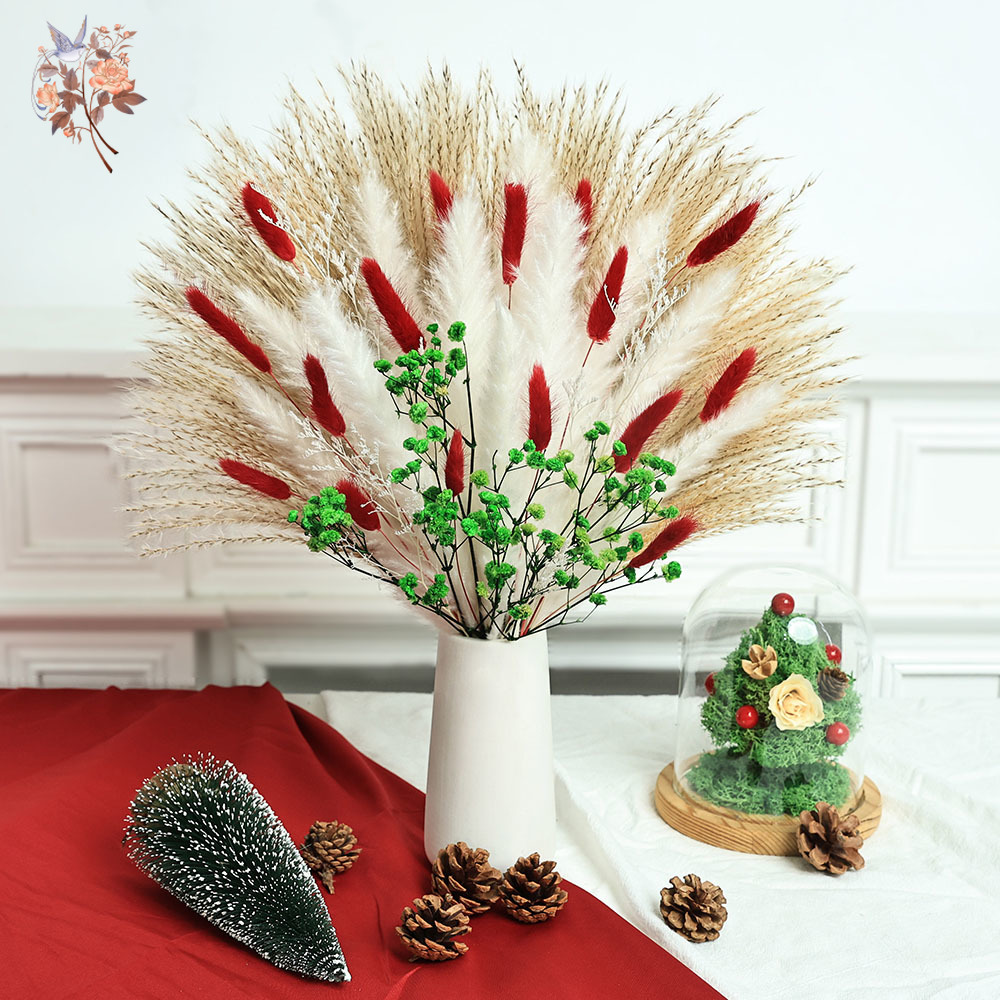55개 건조 꽃다발 크리스마스 장식 실내 천연 푹신한  - Dried Pampas Bundle 리뷰 및 가격