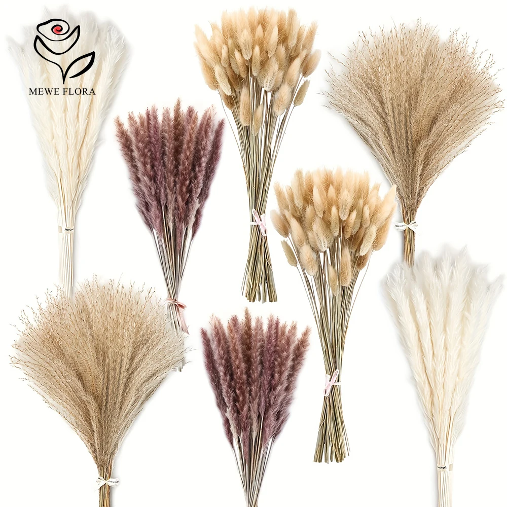 200Pcs 말린 팜파스 토끼 꼬리 잔디 큰 번들 꽃  - Dried Pampas Bundle 리뷰 및 가격